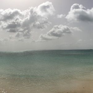 Meet your Posher, Ally